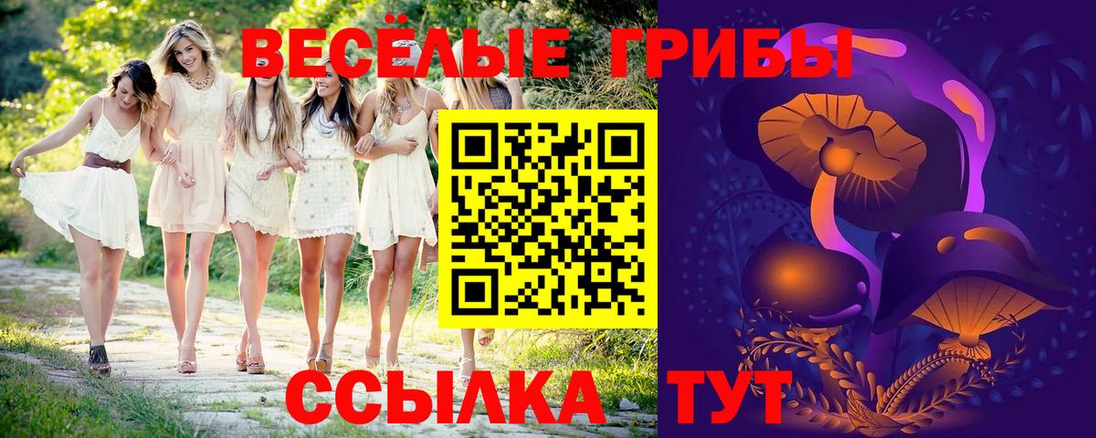 Галлюциногенные грибы прущие грибы Донецк