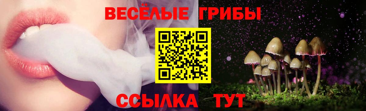 Донецк  Галлюциногенные грибы прущие грибы  Вход с VPN 