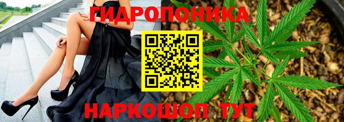 Марихуана планчик  Бошки марихуана план  Вход с VPN  Шишки марихуана Amnesia  Шишки марихуана OG Kush  Донецк 